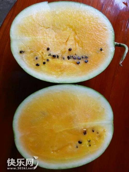 瓜吃的爽吗,瓜果飘香，爽口解暑，尽在这一刻