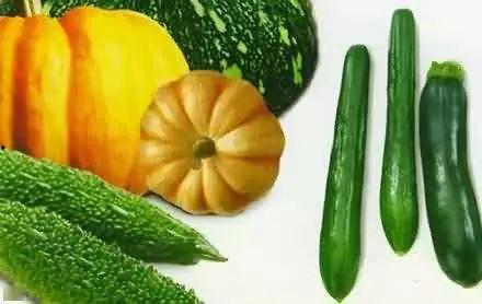 带球吃瓜,揭秘足球场上的趣味瞬间