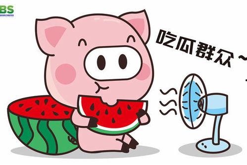 gossip吃瓜,跟随gossip吃瓜，探寻明星幕后故事