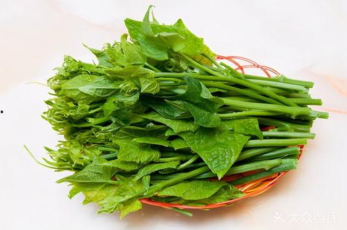 瓜尖如何吃,探索美味新吃法