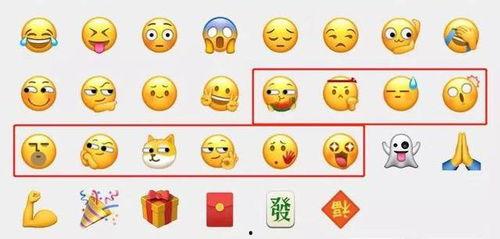 doge 吃瓜,揭秘狗狗的“八卦”世界