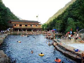 夏日吃瓜喝茶避暑,吃瓜喝茶，清凉一夏