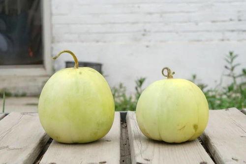 吃大瓜声控,揭秘娱乐圈幕后风云