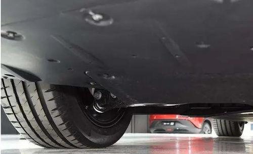 小鹏在吃瓜,揭秘娱乐圈幕后真相