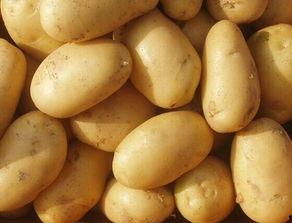 周公解梦吃酥瓜,吃酥瓜的寓意与象征