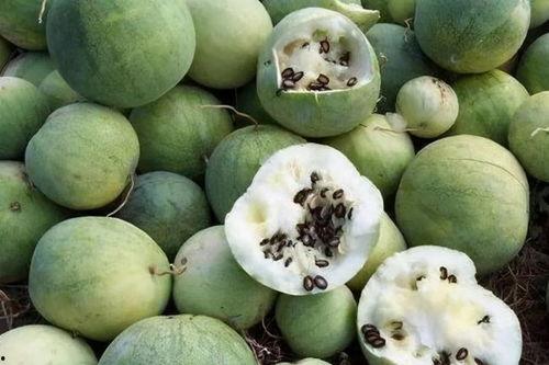 吃瓜需求,那些你不知道的幕后故事与八卦传闻