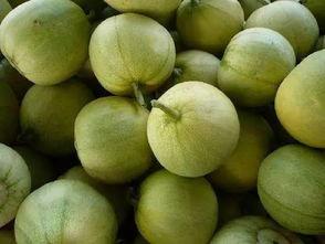 没吃过瓜的吃瓜群众,揭秘瓜界新视角