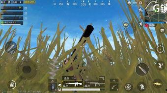 独狼吃瓜,揭秘娱乐圈背后的秘密与真相