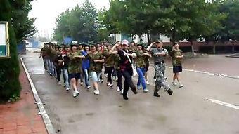 莱州高职吃瓜事件,校园风波背后的真相与反思