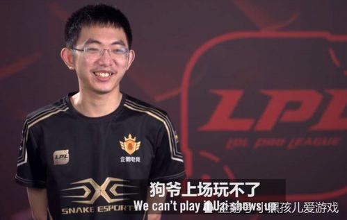 gemini夏季赛吃瓜,吃瓜群众围观精彩瞬间