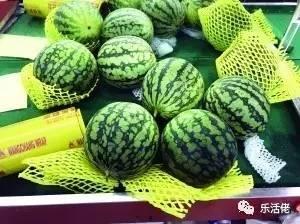 围观吃瓜的图片大全