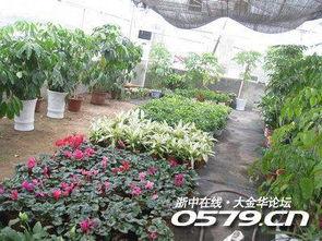 浙师大草坪吃瓜