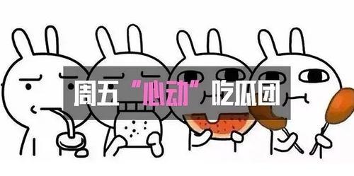 吃瓜信号,吃瓜信号背后的真相大揭秘